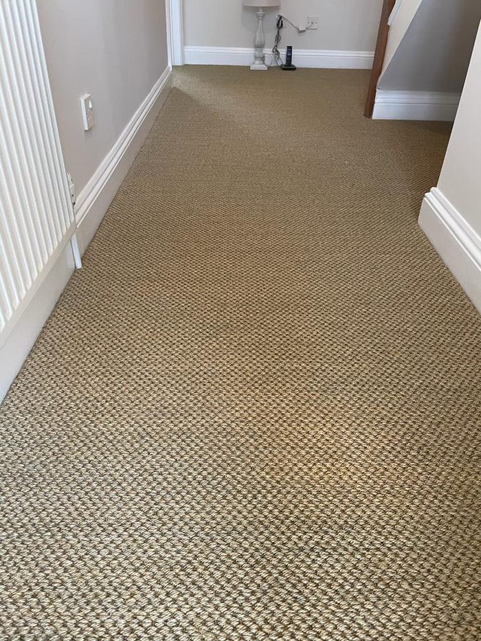 Carpet