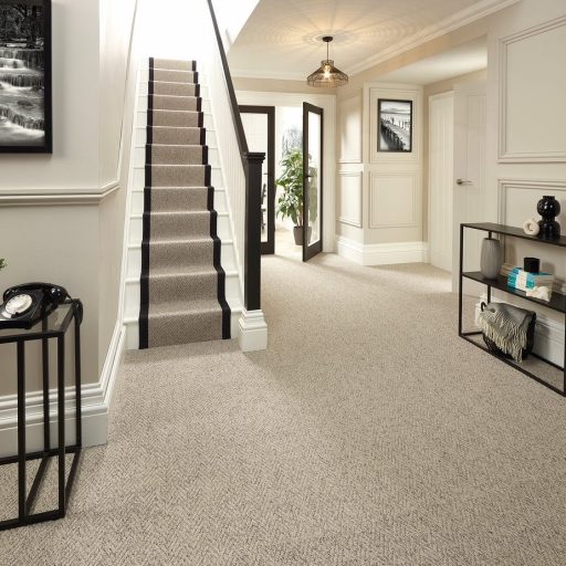 Carpet