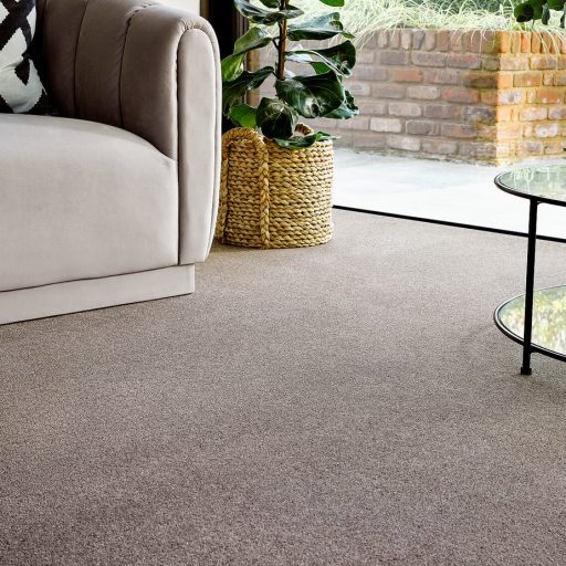 Carpet